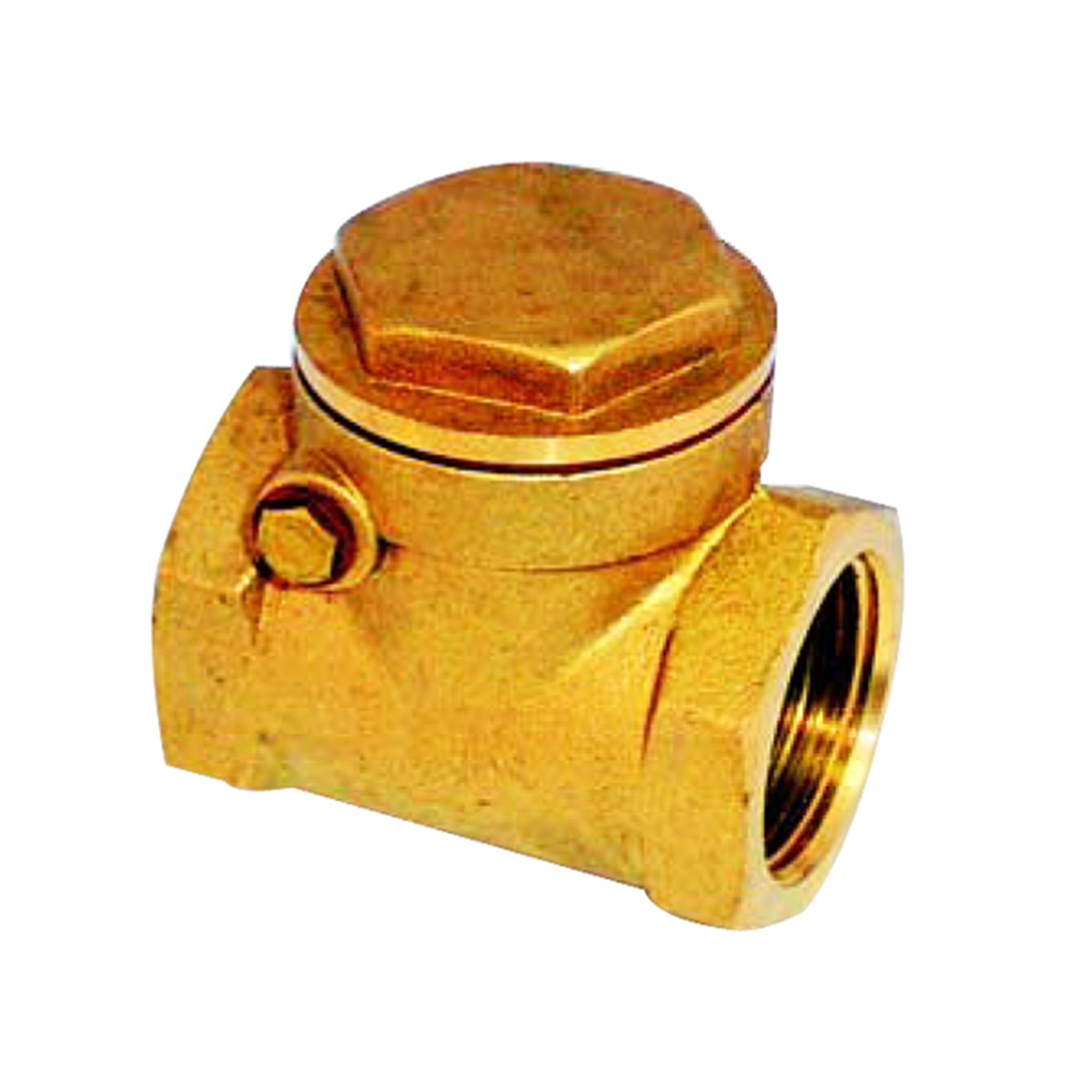 Max Check Valve Door