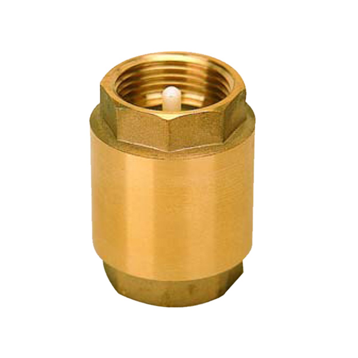 Max Check Valve Sustalı