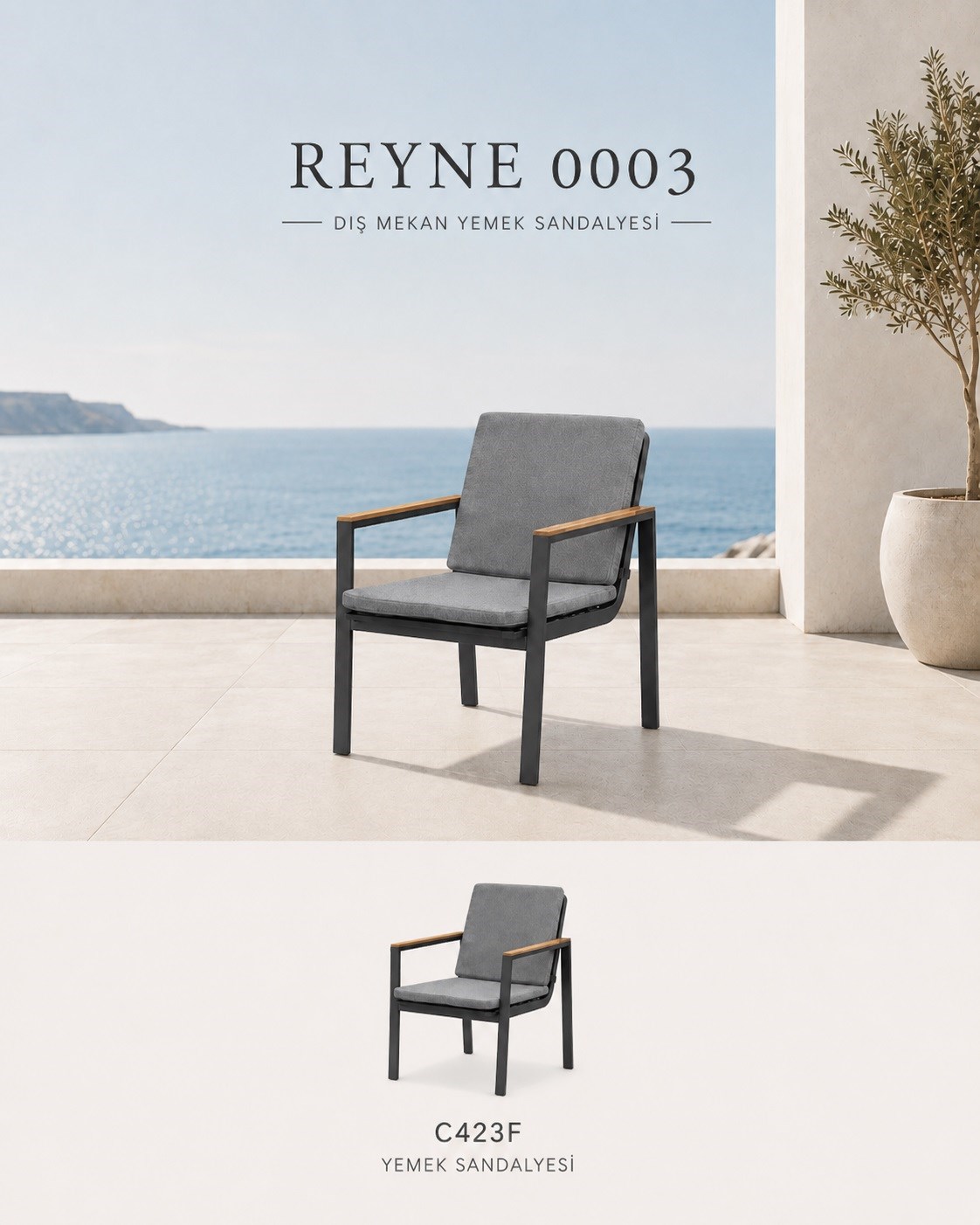 Reyne Dining Chair 60x66x86 cm, Teak Sleeves Anthracite Hawthornminyu m