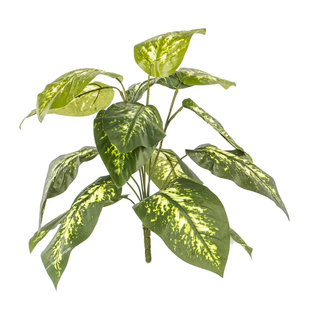 Artificial Diefenbachia 45cm