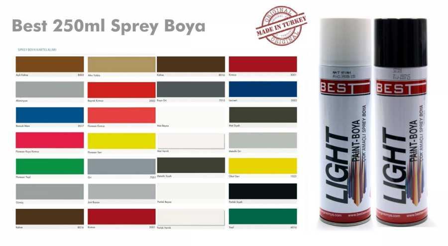 Best Spray Paint 250 ML